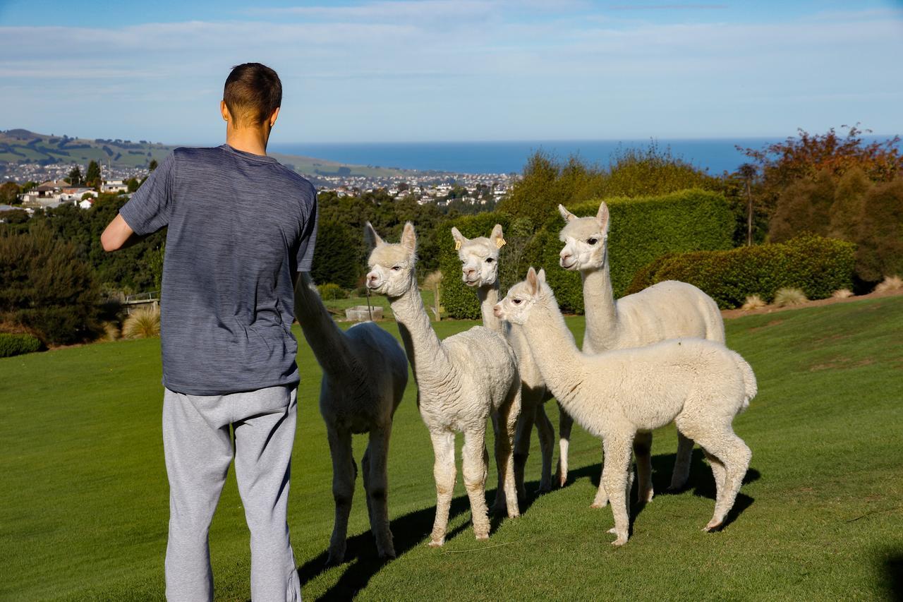 Alpaca Farmstay Ντούνεντιν Εξωτερικό φωτογραφία
